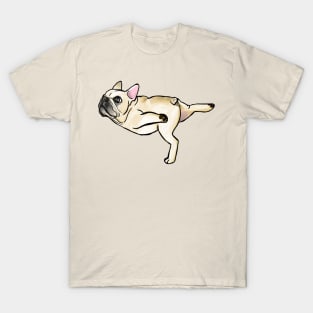 Tabletop pose T-Shirt